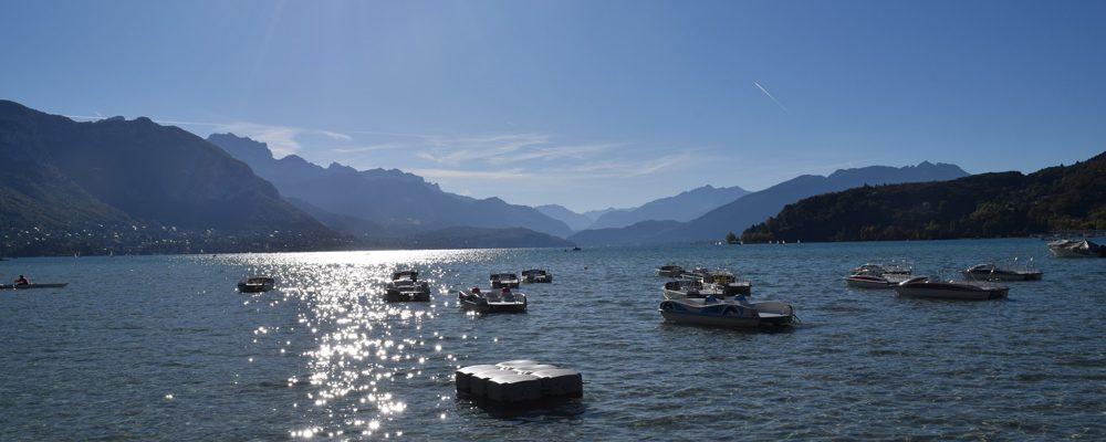 boats