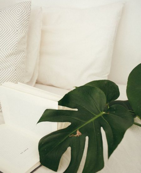 plant